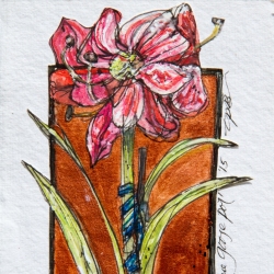 Amaryllis in Blue Goose Pot, 2015 (Copyright Treld Pelkey Bicknell)