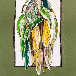 Ash Pods Kew Gardens, 2015 (Copyright Treld Pelkey Bicknell)