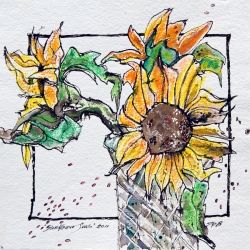 Sunflower Seeds, 2013 (Copyright Treld Pelkey Bicknell)
