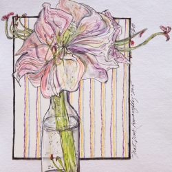 That Pink Amaryllis, 2015 (Copyright Treld Pelkey Bicknell)