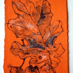 Oak-2006_TRELD-PELKEY-BICKNELL