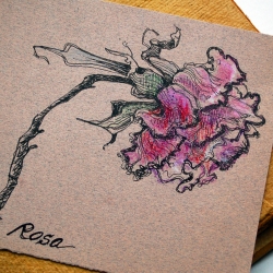 Rosa-2006_TRELD-PELKEY-BICKNELL