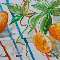 Kumquats-2003_TRELD-PELKEY-BICKNELL